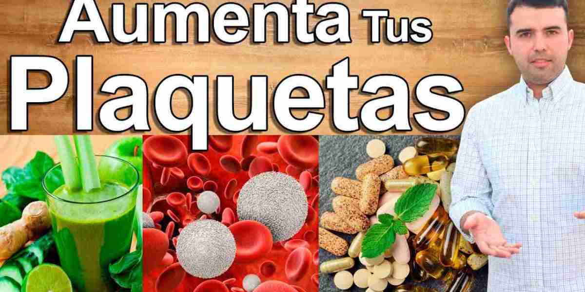 Romero: Beneficios, Propiedades Y Usos Farmacia Angulo