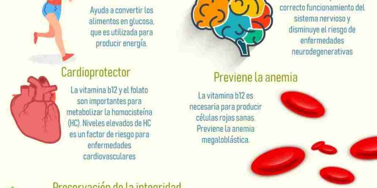 Cómo hacer caldo de huesos en olla lenta paso a paso